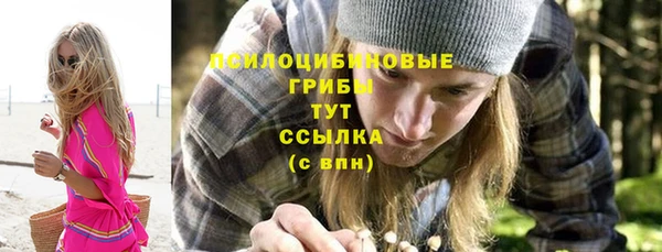дурь Абаза